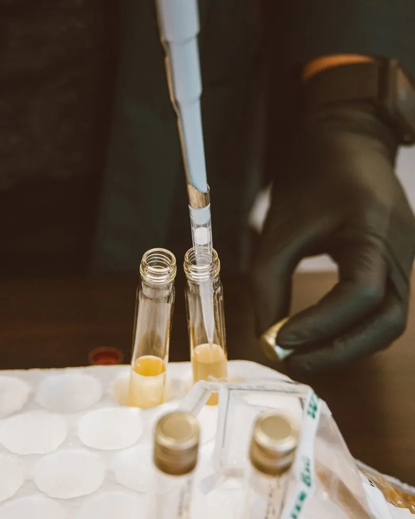 Laboratory pipette testing a water sample