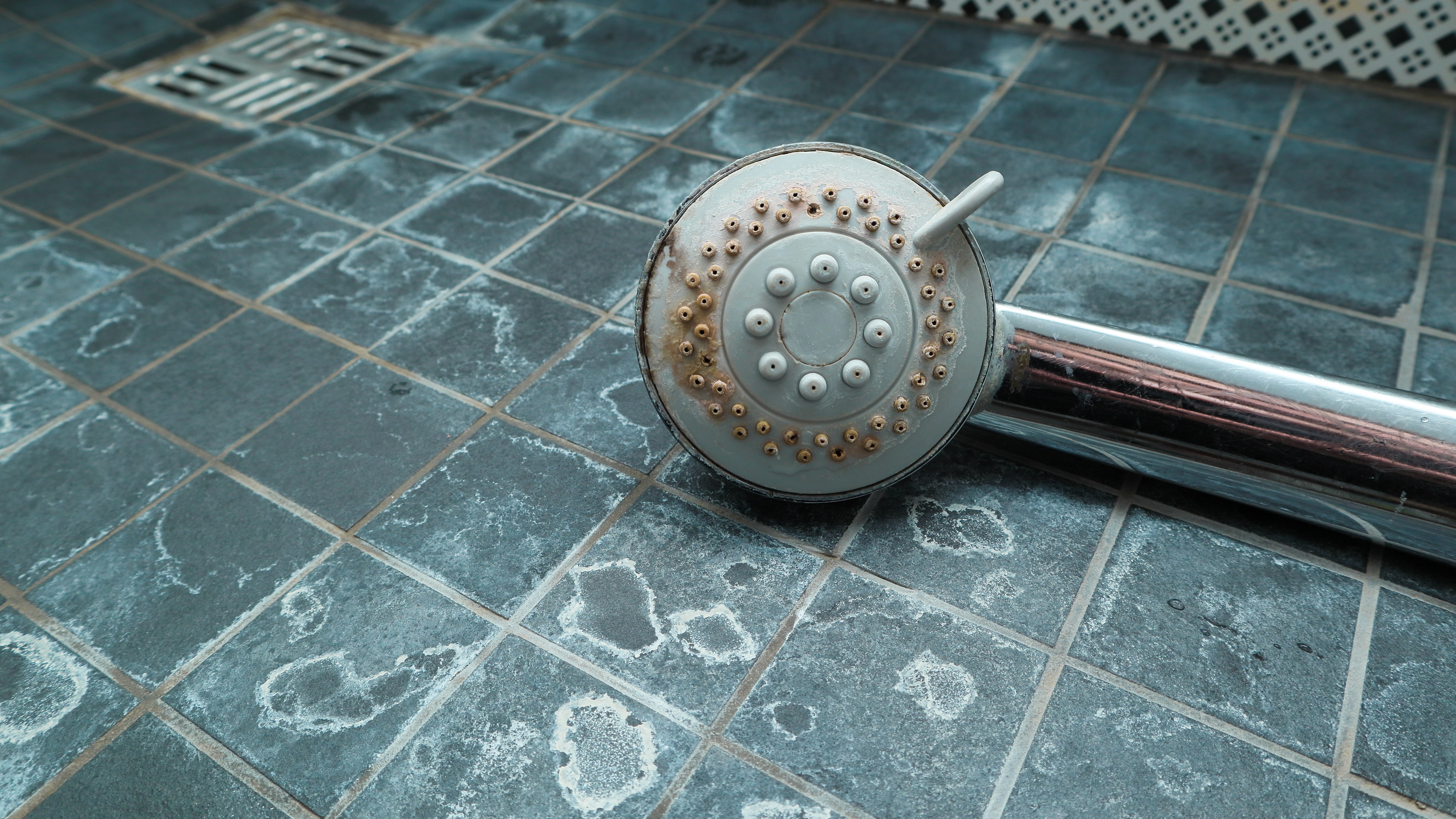 White mineral deposits clogging a showerhead from hard water — Dodge City, KS water at 20.1 GPG (344 ppm)