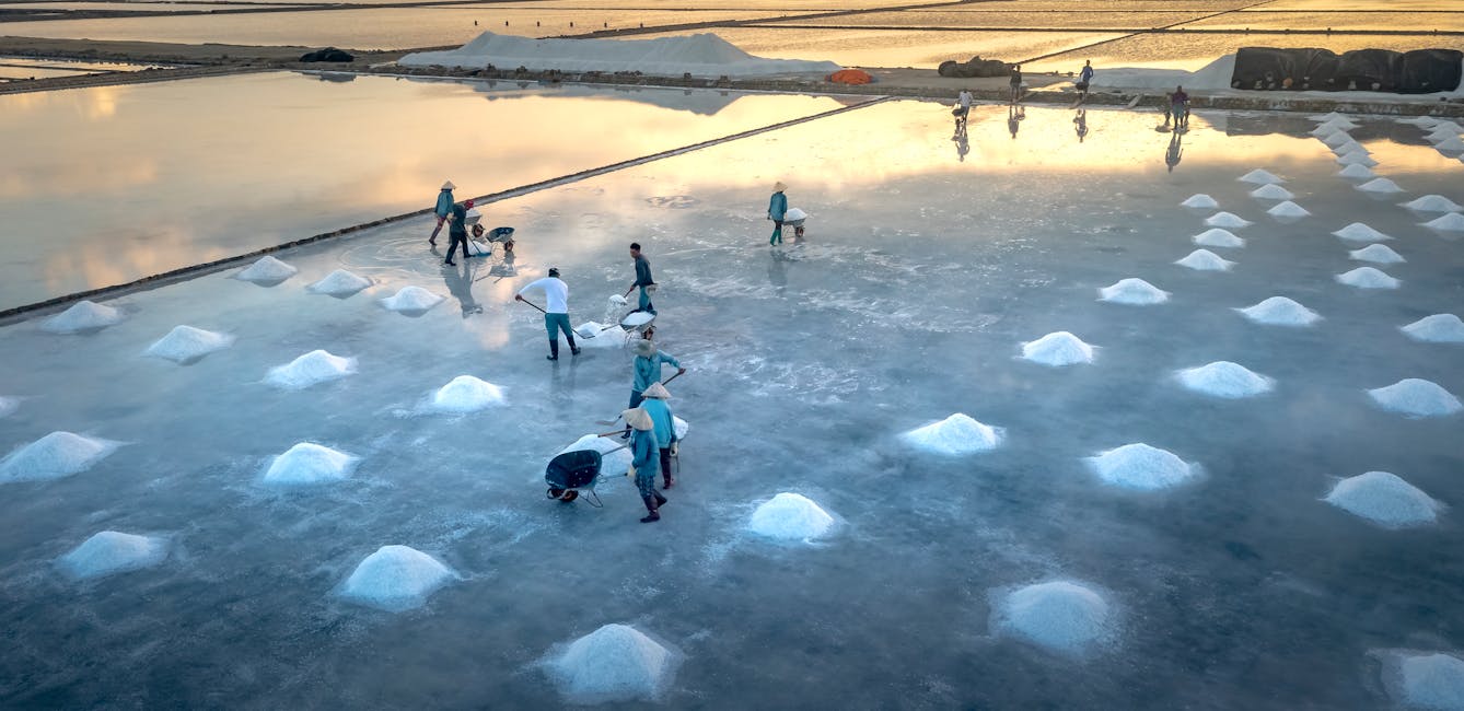 Salt-Free Water Softener vs. Traditional: Which Is Right for Your Home?